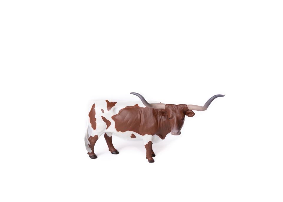 Texas Longhorn Steer 500271- Texas Longhorn Steer 500271-